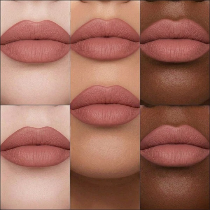 Matte Liquid Lipstick in the Shade (Charm)
