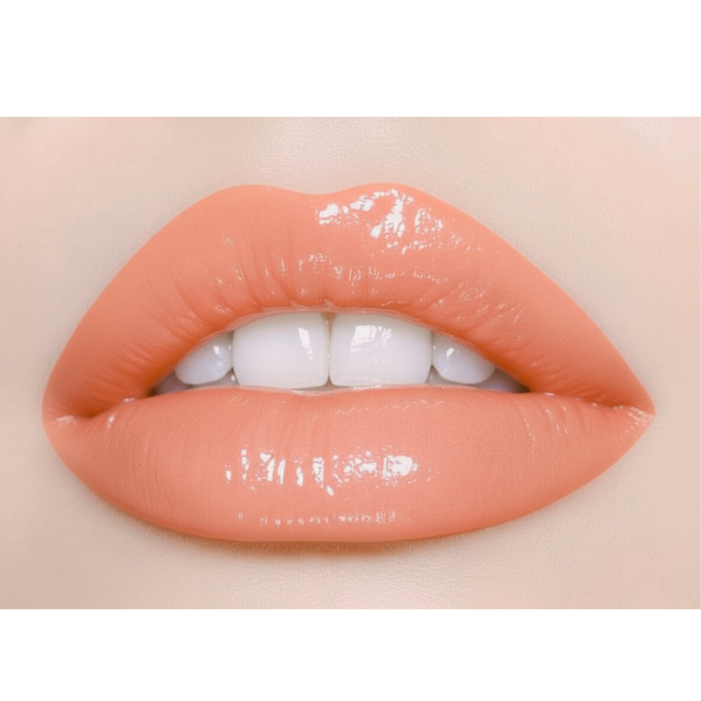 Tinted Lip Gloss in the Shade (Posh)