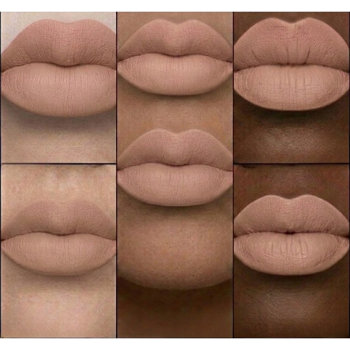 Matte Liquid Lipstick in the Shade (Fairy)