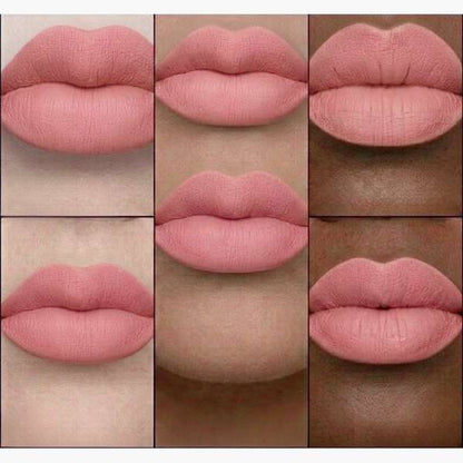Matte Liquid Lipstick in the Shade (Angel)
