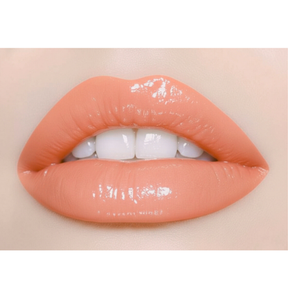 Tinted Lip Gloss in the Shade (Posh)
