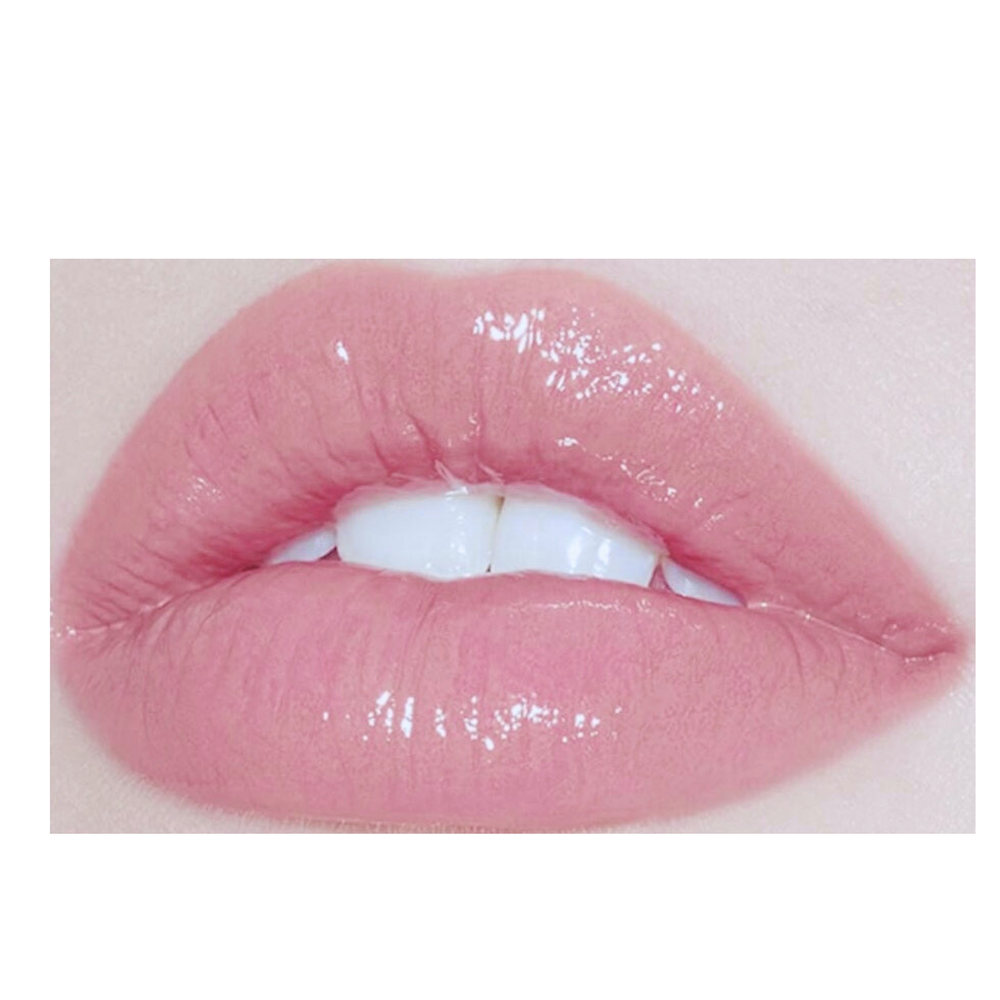 Tinted Lip Gloss in the Shade (Sassy)